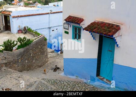 Treppe hinunter in Chefchaouen Marokko mit blauen Gebäuden Stockfoto