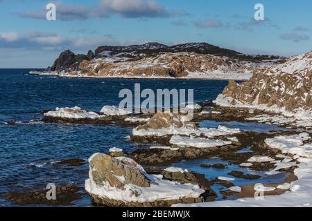 Felsige Nordatlantikküste in Twillingate, Neufundland, Kanada Stockfoto