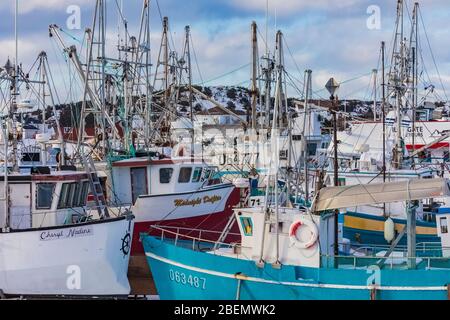 Marina für kommerzielle Fischerboote in Durrell, in der Nähe von Twillingate, Neufundland, Kanada [Keine Eigentumsfreigabe; nur für redaktionelle Lizenzierung verfügbar] Stockfoto