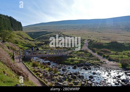 Menschen, die auf den Pfaden auf Pen Y Fan, Corn du und Cribyn auf den Brecon Beacons Wales Stockfoto