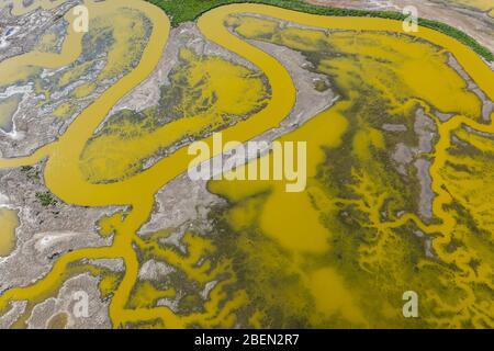 Luftaufnahme von Strange Green Waterways im Marschland der SF Bay Stockfoto