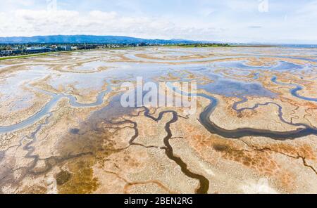 Luftaufnahme von Strange Green Waterways im Marschland der SF Bay Stockfoto