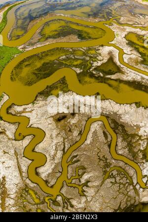 Luftaufnahme von Strange Green Waterways im Marschland der SF Bay Stockfoto