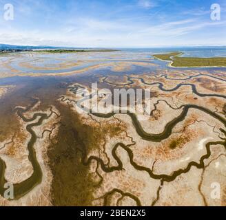 Luftaufnahme von Strange Green Waterways im Marschland der SF Bay Stockfoto