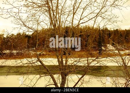 Winter Ural Landschaft. Waldhorizonte Stockfoto