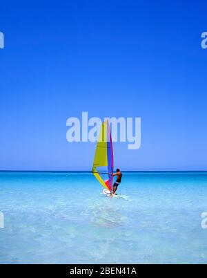 Mann Windsurfen am Strand, Varadero, Matanzas, Republik Kuba Stockfoto