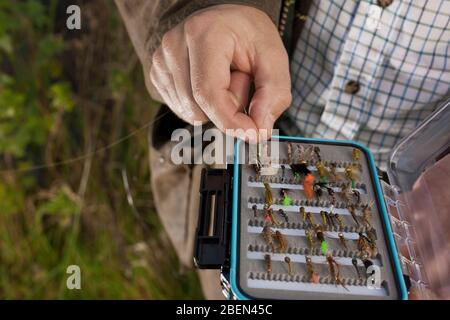 Nahaufnahme von mans Fliegenfischen Tackle Box Stockfoto