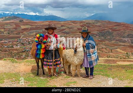 Heilige Tal, cusco, cusco peru, Menschen, peruanischen, peru, quechua, Frau, Alpaka, Lama, Abenteuer, Landwirtschaft, Tier, Hintergrund, Kleidung, Kultur, cuzco, häusliche Stockfoto