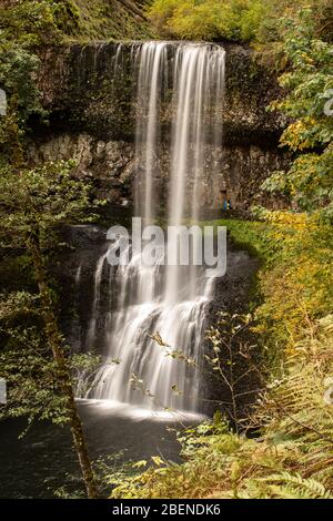 Doppel-Wasserfälle und Herbstfarben. Silver Falls State Park, Oregon Stockfoto