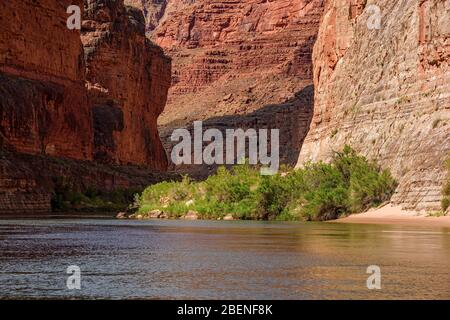 Der Colorado River und die Canyonwände, Grand Canyon National Park, Arizona, USA Stockfoto