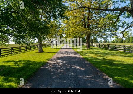 Eingang des Bauernhauses mit Straße zum Haus Stockfoto