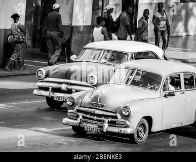 Nahaufnahme von zwei kontrastierenden farbigen klassische Autos (aus Amerika während der 1950 eingeführten s) auf den Baum gesehen, gesäumt von Prado in Havanna eine August Abend Stockfoto