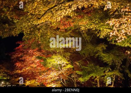 Eikan-dō Zenrin-ji, 48 Eikandocho, Sakyo ward, Kyoto, 606-8445, Japan Stockfoto