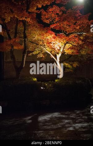 Eikan-dō Zenrin-ji, 48 Eikandocho, Sakyo ward, Kyoto, 606-8445, Japan Stockfoto