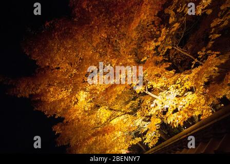 Eikan-dō Zenrin-ji, 48 Eikandocho, Sakyo ward, Kyoto, 606-8445, Japan Stockfoto