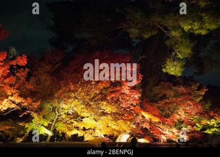 Eikan-dō Zenrin-ji, 48 Eikandocho, Sakyo ward, Kyoto, 606-8445, Japan Stockfoto