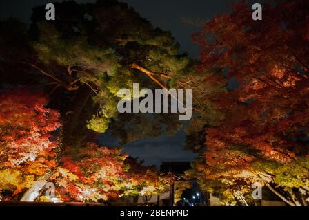 Eikan-dō Zenrin-ji, 48 Eikandocho, Sakyo ward, Kyoto, 606-8445, Japan Stockfoto