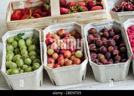 Bio-Obststand mit saisonalen Früchten und Beeren auf dem lokalen Markt der Stadt. Obst in Papierkörben auf dem Marktplatz Stockfoto