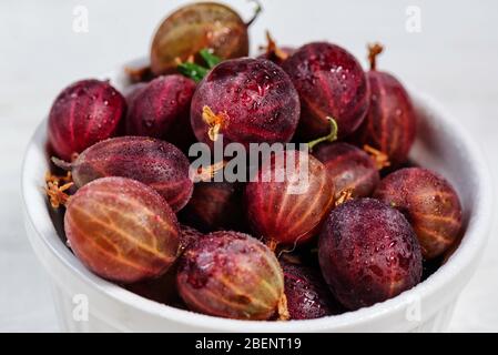 Rote Stachelbeerfrucht Nahaufnahme auf weißem Hintergrund. Stockfoto