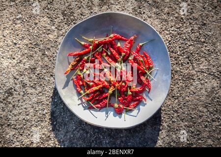 Außen Foto von roten Paprika auf Metallplatte auf Kieselstein strukturierten Hintergrund Stockfoto