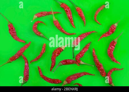 studio Foto von würzigen roten Chili-Paprika auf grünem Hintergrund Stockfoto