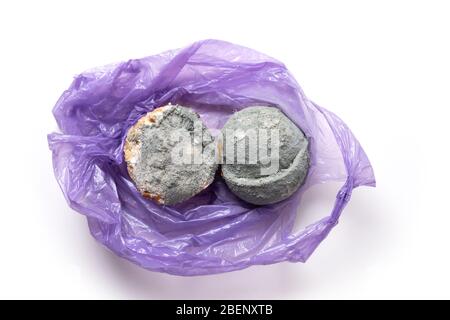 Hässliche Form orange in violettem Plastiktüte auf weiß. Nahaufnahme. Unsachgemäße Lagerung von Lebensmitteln in Zellophan. Stockfoto