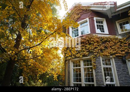 Eine private Villa im Herbst Stockfoto