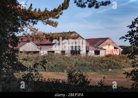 Alte Bauernhöfe Kuhhäuser Stockfoto