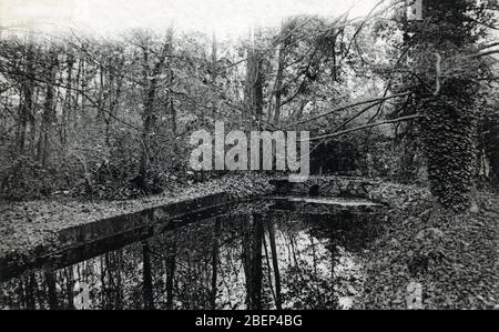 Vue du Parc de la maison de retraite des artistes dramatiques fondee par Constant Coquelin a Couilly-Pont-aux-Dames (Couilly Pont aux Dames) en seine Stockfoto