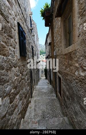 Spaziergang durch die engen Gassen der Altstadt in Dubrovnik, Kroatien. Stockfoto