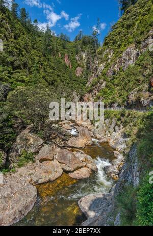 Ohinemuri Fluss in Karangahake Gorge, Waikato Region, Nordinsel, Neuseeland Stockfoto