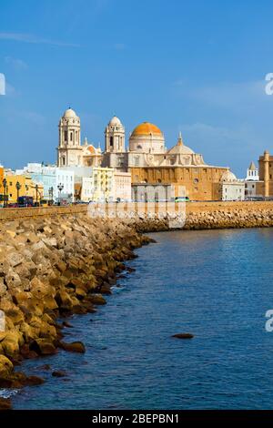 Die Barock-Rokoko Kathedrale von Santa Cruz de Cadiz von der Avenida Campo del Sur, Cadiz, Provinz Cadiz, Costa de la Luz, Andalusien, Spanien. Stockfoto