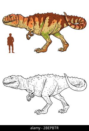 Fleischfressender Dinosaurier - giganotosaurus. Vergleich zwischen Dinosaurier und Mensch. Dino Malvorlagen. Stockfoto