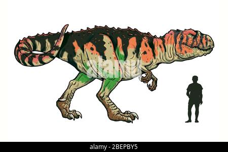 Fleischfressender Dinosaurier - giganotosaurus. Vergleich zwischen Dinosaurier und Mensch. Dino Malvorlagen. Stockfoto