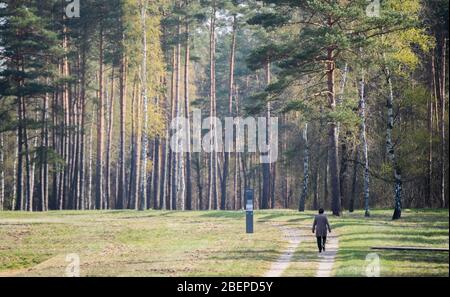 Bergen, Deutschland. April 2020. Eine Frau geht die ehemalige Hauptlagerstraße in der Gedenkstätte Bergen-Belsen entlang. Vor genau 75 Jahren, am 15. April 1945, wurde das Konzentrationslager Bergen-Belsen von britischen Soldaten befreit. Aufgrund der Corona-Pandemie ist es ein sehr schweigsam gedenkender: Kaum Besucher oder auch Zeitzeugen finden ihren Weg zum ehemaligen KZ im Landkreis Celle. Kredit: Julian Stratenschulte/dpa/Alamy Live News Stockfoto
