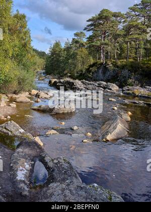 Glen Affric, Beauly, Inverness-Shire, Schottland, Großbritannien. 24/09/19. Stromabwärts von der Brücke bei Dog Falls in Glen Affric Teil des Caledonian Forest Stockfoto