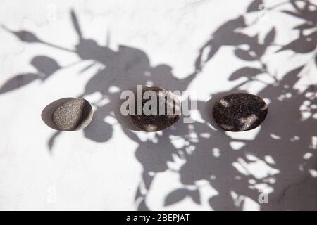 Drei Meeressteine im Schatten der Blätter und Sonnenlicht auf einem weißen Boden. Minimalismus im Sommer. Draufsicht Stockfoto