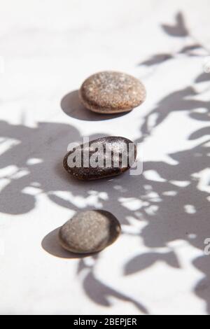 Drei Meeressteine im Schatten der Blätter und Sonnenlicht auf einem weißen Boden. Minimalismus im Sommer. Entspannung und Erholung. Stockfoto