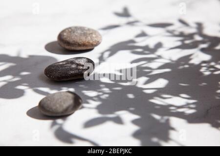 Drei Meeressteine im Schatten der Blätter und Sonnenlicht auf einem weißen Boden. Minimalismus im Sommer. Entspannung und Erholung. Stockfoto