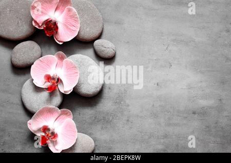 Spa Steine und rosa Orchidee auf grauem Hintergrund Stockfoto