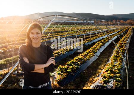 Frau Landwirt Agronom Inspektion Erdbeerpflanzen wachsen in der Obstbauernhof field.Nature lover.Sustainable ökologische grow.Examining junge Kulturen, qua Stockfoto