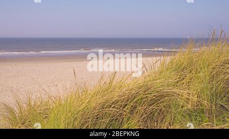 Dünengras und leerer Strand. Stockfoto