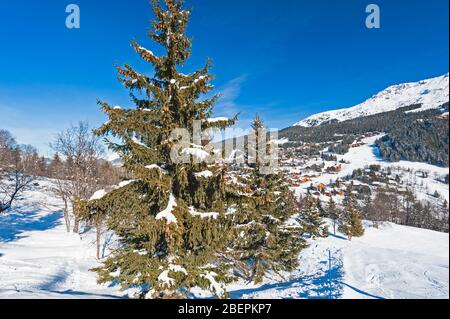 Panoramaaussicht, Snow Valley in alpinen Gebirgszug mit Nadelbäumen bedeckt Bäume auf blauen Himmel Hintergrund