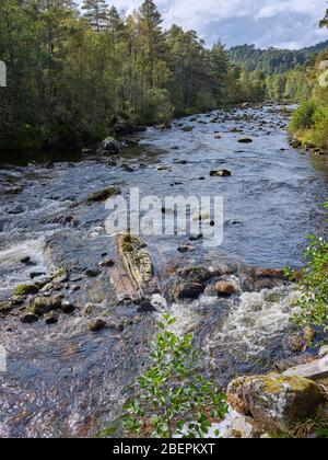 Glen Affric, Beauly, Inverness-Shire, Schottland, Großbritannien. 24/09/19. Stromaufwärts von der Brücke bei Dog Falls in Glen Affric Teil des Caledonian Forest Stockfoto