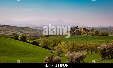 Panorama der sanften grünen Landschaft Hügel des Passo RIPE, in der Nähe Senigallia, Le Marche, Italien mit den Bergen in der Ferne Stockfoto