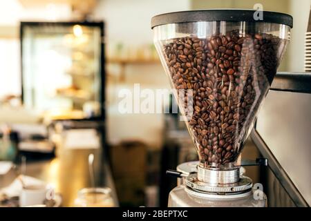 Kaffeebohnen in einem großen Glasschleifer-Maschinenhalter mit verschwommenem Hintergrund eines Cafés. Stockfoto