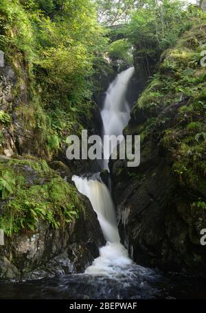 Aira Force Wasserfall im Lake District Stockfoto
