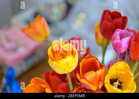 Nahaufnahme eines bunten Straußes Tulpen in selektivem Fokus vor verschwommenem Hintergrund und Kopierraum Stockfoto
