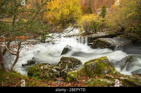 Turbulente Gewässer am Fluss Ogwen in Nordwales Stockfoto