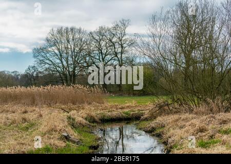 April 2020 - Frühling im Naturschutzgebiet Tegeler Fliess in Berlin Stockfoto